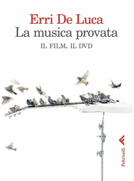 La musica provata (2014) постер